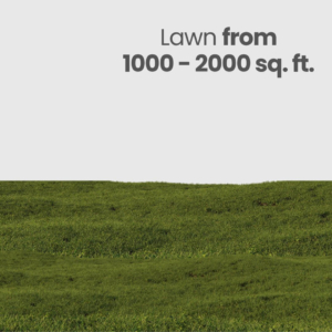 Lawn Care (From 1000-2000 sq.ft)