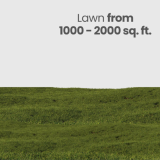 Lawn Care (From 1000-2000 sq.ft)