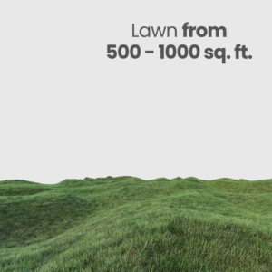Lawn Care (From 500-1000 sq.ft)