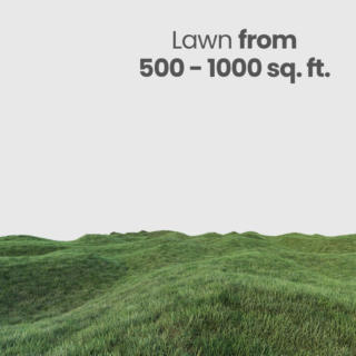 Lawn Care (From 500-1000 sq.ft)