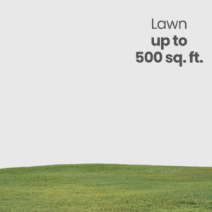 Lawn Care (Up to 500 sq.ft)