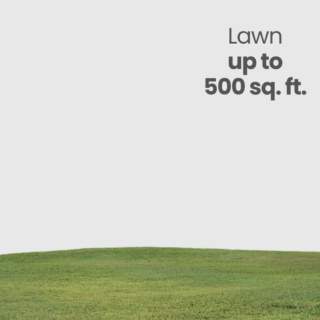 Lawn Care (Up to 500 sq.ft)