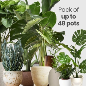 Potted Plant Care (Up to 48 Pots)