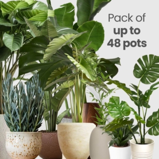 Potted Plant Care (Up to 48 Pots)