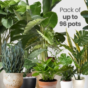 Potted Plant Care (Up to 96 Pots)