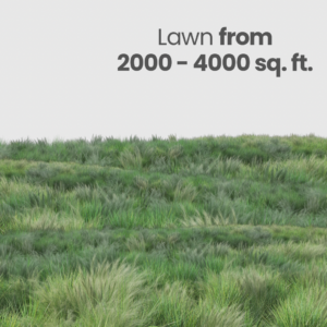 Lawn Care (From 2000-4000 sq.ft)